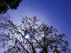 Meet your Posher, Hazel